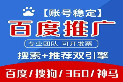 网络推广竞价策略解析与应用案例